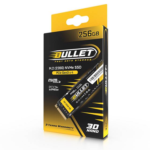 هارد M.2 256GB BULLET