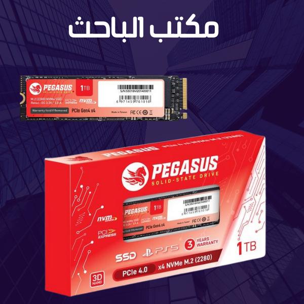Pegasus 1TB PCIe Gen4 x4 NVMe M.2 (2280)