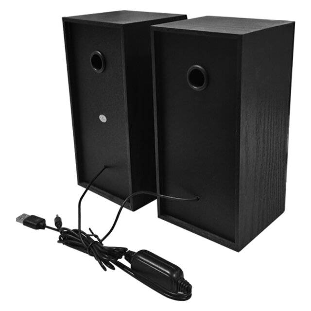 Kisonli U‑9001 Speaker (Wood)