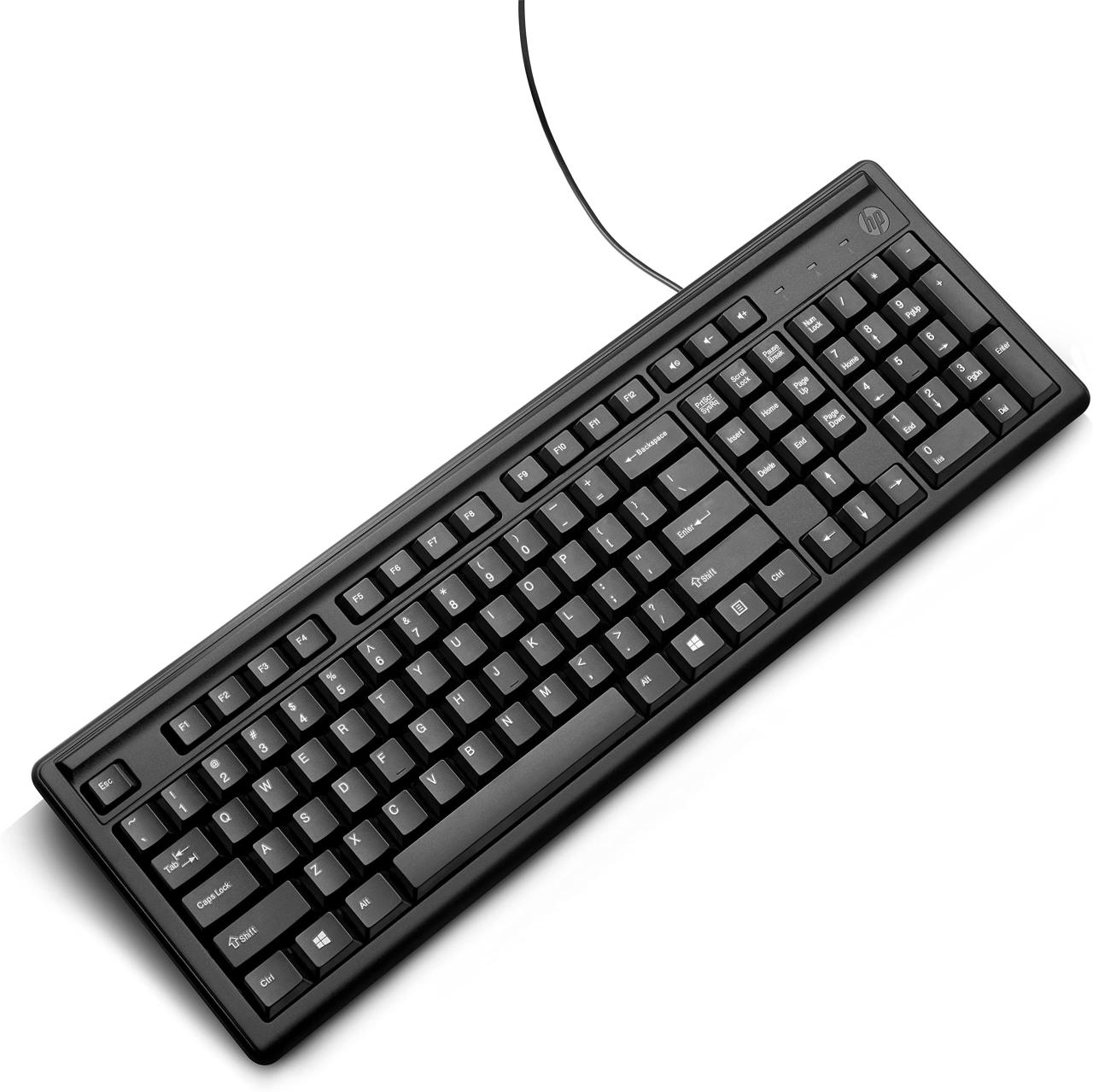 hp keyboard 100 