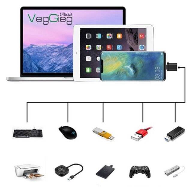 VegGieg V‑S101 USB 3.0 Female to Type‑C Male OTG Adapter